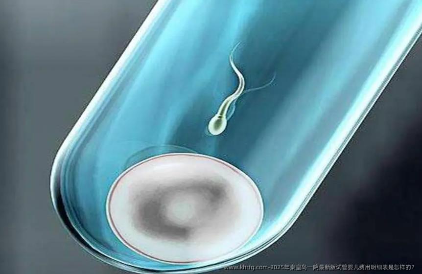 2025年秦皇岛一院最新版试管婴儿费用明细表是怎样的？