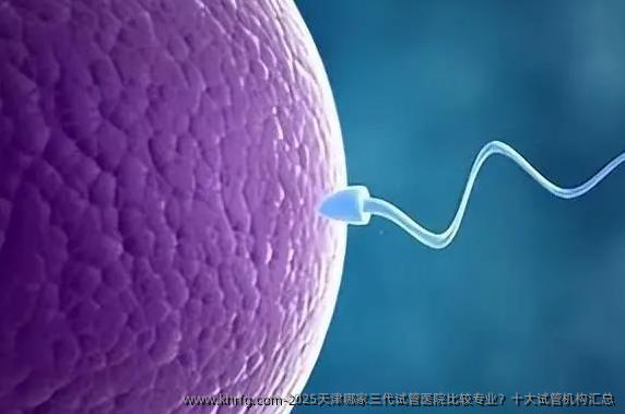 2025天津哪家三代试管医院比较专业？十大试管机构汇总