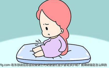 在东部战区总医院做第三代试管婴儿至少要花多少钱？费用明细是怎么样的
