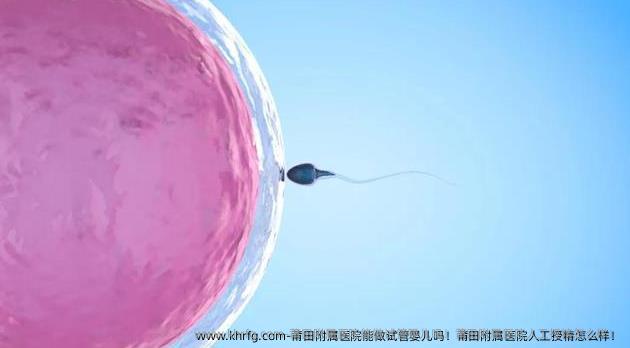 莆田附属医院能做试管婴儿吗！莆田附属医院人工授精怎么样！