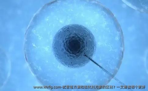 试管短方案和拮抗剂方案的区别？一文解读哪个更好
