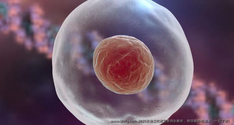 2025泉州三代试管费用全解析，附详细价格清单，一目了然！