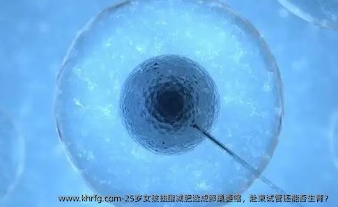 25岁女孩抽脂减肥造成卵巢萎缩，赴柬试管还能否生育？