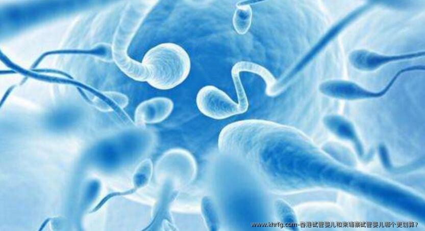 香港试管婴儿和柬埔寨试管婴儿哪个更划算？