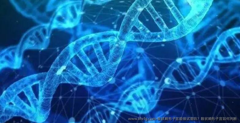 鞍状畸形子宫能做试管吗？鞍状畸形子宫如何判断