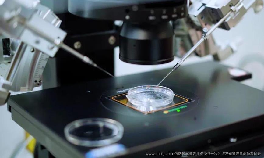 信阳做试管婴儿多少钱一次？还不知道哪里能做看过来