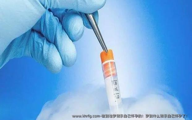 做到啥梦预示自己怀孕的！梦到什么预示自己怀孕了！
