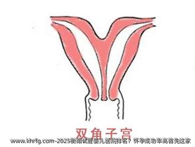 2025衡阳试管婴儿医院排名？怀孕成功率高首先这家