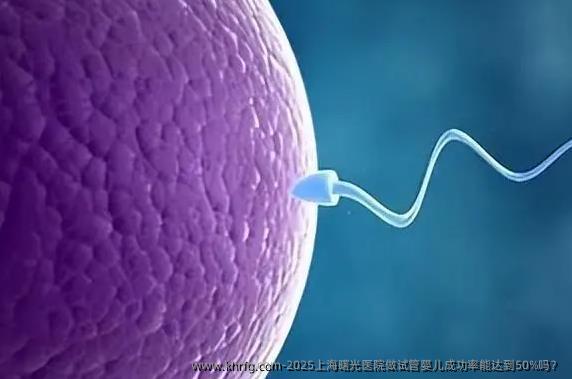 2025上海曙光医院做试管婴儿成功率能达到50%吗？