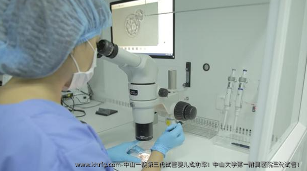 中山一院第三代试管婴儿成功率！中山大学第一附属医院三代试管！