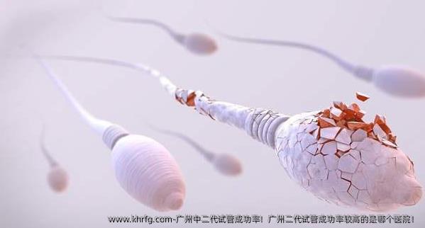 广州中二代试管成功率！广州二代试管成功率较高的是哪个医院！