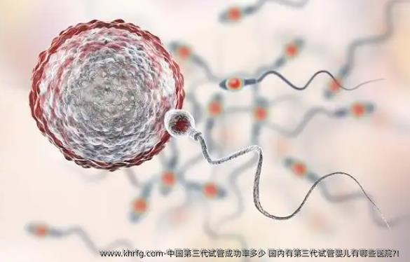 国内第三代试管成功率多少 国内有第三代试管婴儿有哪些医院?！