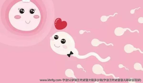 宁波52岁做三代试管大概多少钱(宁波三代试管婴儿哪家医院好)