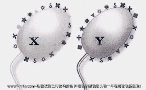 新疆试管三代医院解析 新疆首例试管婴儿哪一年在哪家医院诞生！