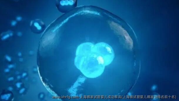 上海哪家试管婴儿成功率高(上海做试管婴儿哪家好排名前十名)
