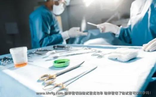 输卵管切除做试管成功率 输卵管切了做试管可以怀孕吗！