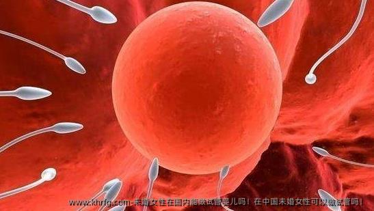 未婚女性在国内能做试管婴儿吗！在国内未婚女性可以做试管吗！
