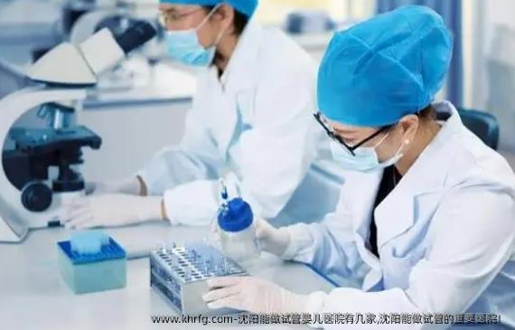 沈阳能做试管婴儿医院有几家,沈阳能做试管的重要医院！