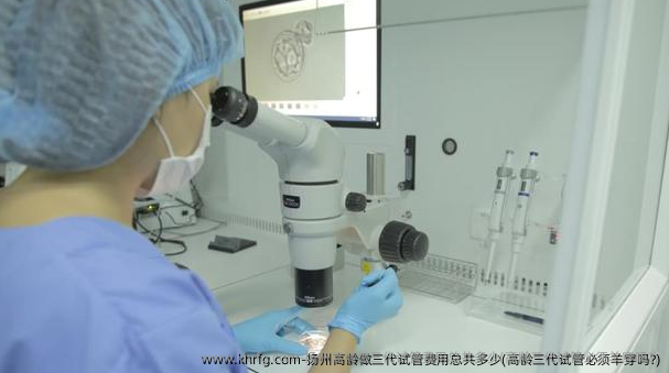 扬州高龄做三代试管费用总共多少(高龄三代试管必须羊穿吗?)