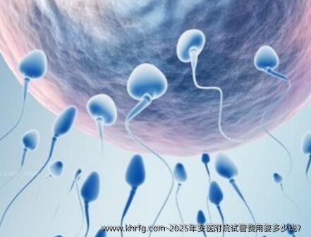 2025年安医附院试管费用要多少钱？