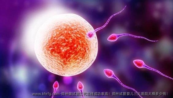 郑州做试管三代怎样成功率高！郑州试管婴儿三大医院大概多少钱！