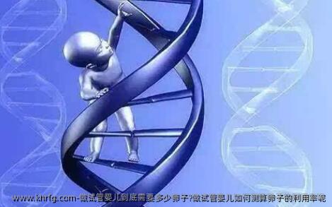 做试管婴儿到底需要多少卵子?做试管婴儿如何测算卵子的利用率呢