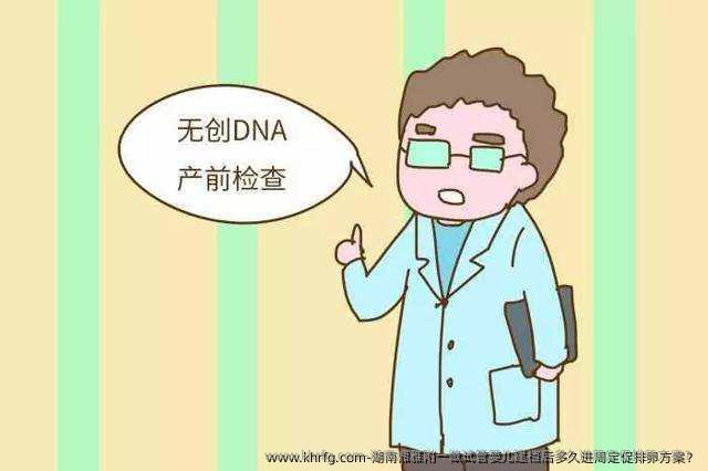 湖南湘雅附一做试管婴儿建档后多久进周定促排卵方案？