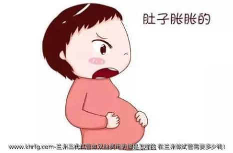 兰州三代试管做双胎费用明细是怎样的 在兰州做试管需要多少钱！