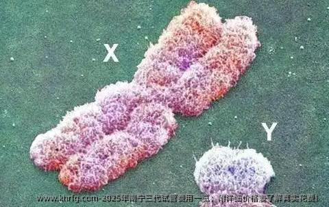 2025年南宁三代试管费用一览：附详细价格表了解真实花费！