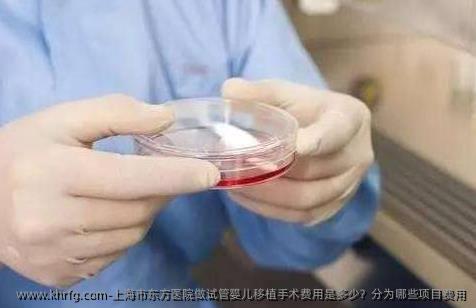 上海市东方医院做试管婴儿移植手术费用是多少？分为哪些项目费用