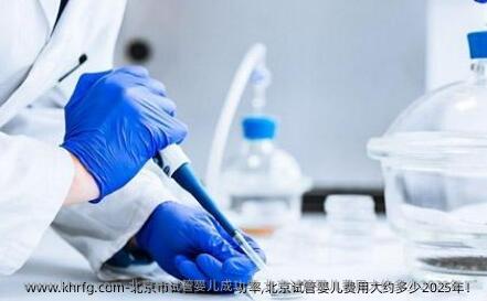 北京市试管婴儿成功率,北京试管婴儿费用大约多少2025年！