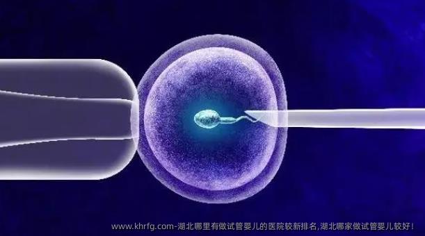 湖北哪里有做试管婴儿的医院较新排名,湖北哪家做试管婴儿较好！