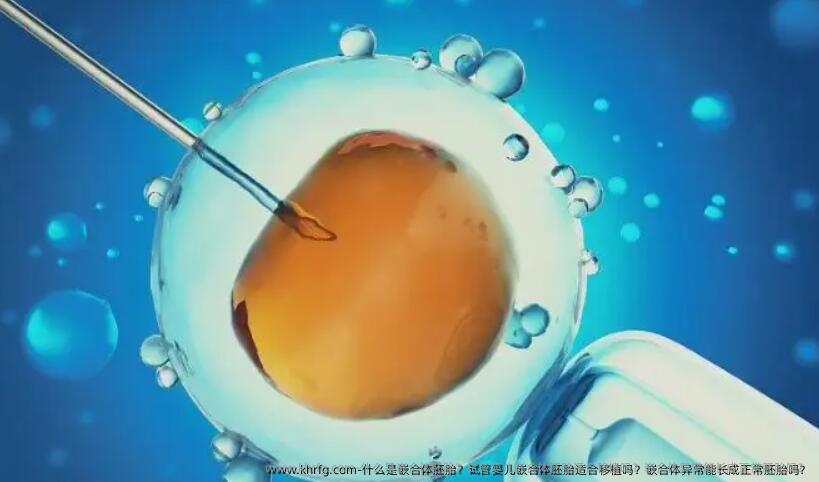 什么是嵌合体胚胎？试管婴儿嵌合体胚胎适合移植吗？嵌合体异常能长成正常胚胎吗？