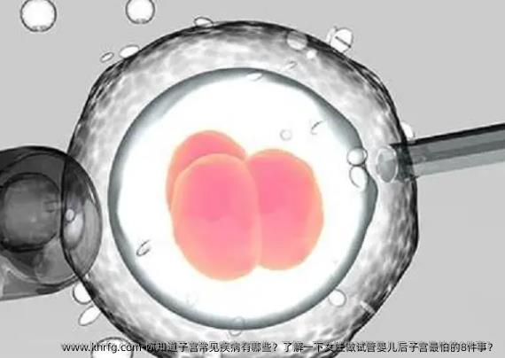 你知道子宫常见疾病有哪些？了解一下女性做试管婴儿后子宫最怕的8件事？