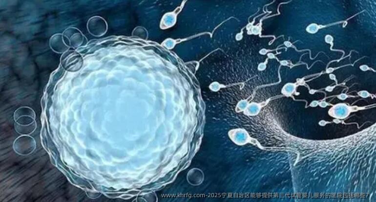 2025宁夏自治区能够提供第三代试管婴儿服务的医院包括哪些？