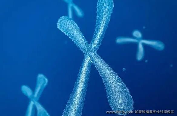 试管移植要多长时间做完