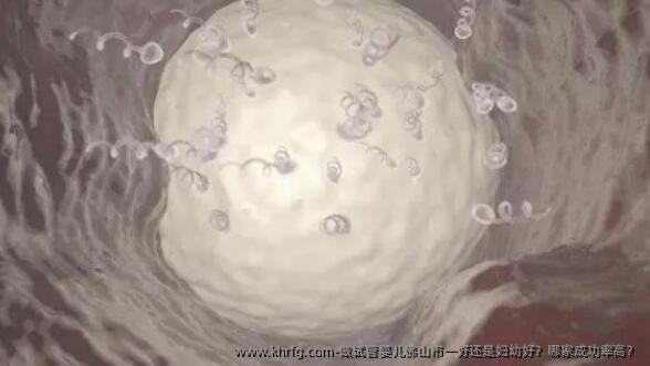 做试管婴儿佛山市一好还是妇幼好？哪家成功率高？