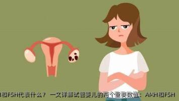 试管婴儿AMH和FSH代表什么？ 一文详解试管婴儿的两个重要数值：AMH和FSH
