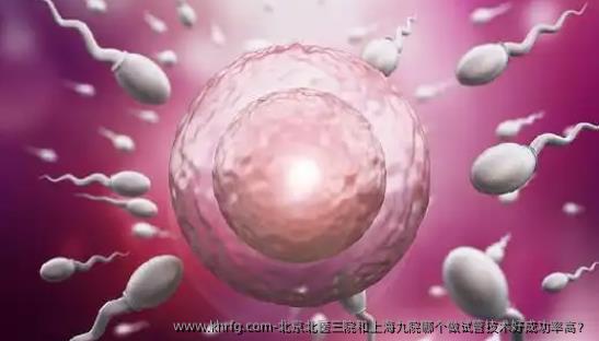 北京北医三院和上海九院哪个做试管技术好成功率高？
