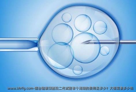 烟台毓璜顶医院二代试管单个周期的费用是多少？大概需要多少钱