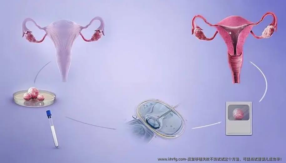 反复移植失败不妨试试这个方法，可提高试管婴儿成功率！