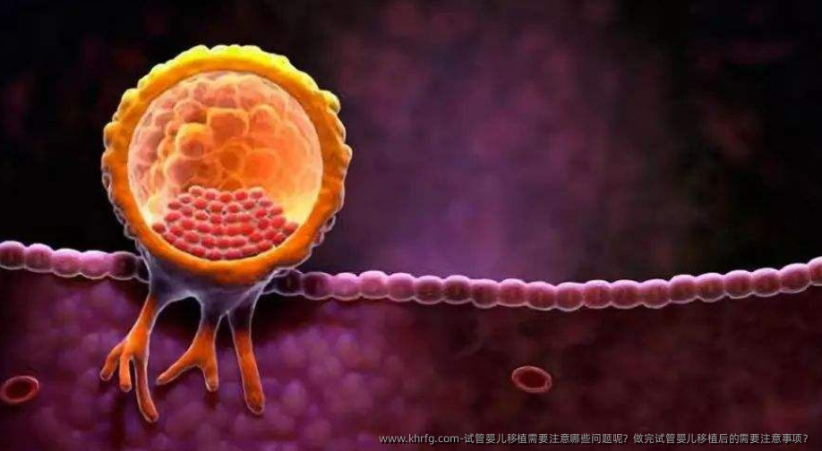 试管婴儿移植需要注意哪些问题呢？做完试管婴儿移植后的需要注意事项？