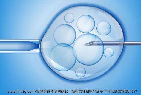 输卵管性不孕的症状，输卵管性堵塞导致不孕可以做试管婴儿吗？