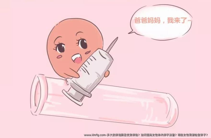 多大的卵泡算是优势卵泡？如何提高女性体内卵子质量？哪些女性需要检查卵子？