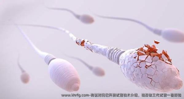 青医附院已开展试管技术介绍，能否做三代试管一看即知