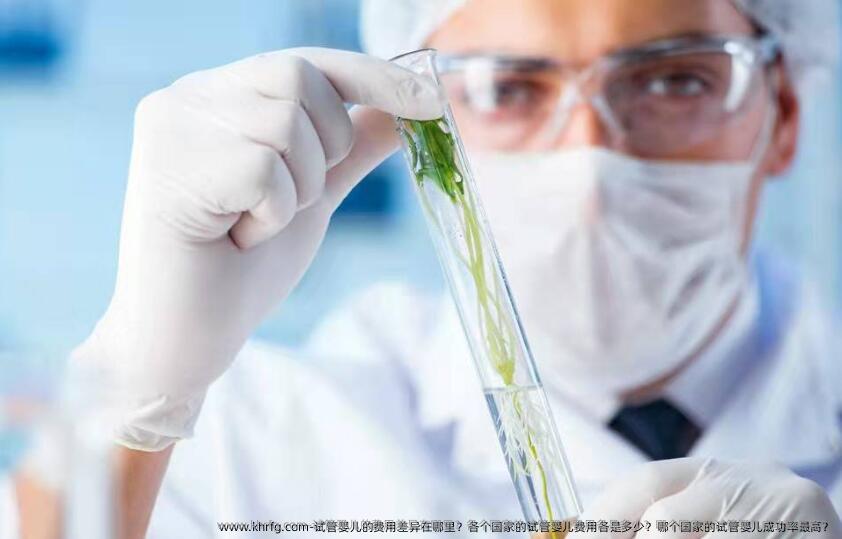 试管婴儿的费用差异在哪里？各个国家的试管婴儿费用各是多少？哪个国家的试管婴儿成功率最高？