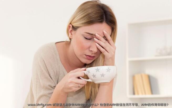 试管婴儿助孕中AMH检查是什么？检查的AMH数值生而不平等，AMH的作用有哪些？