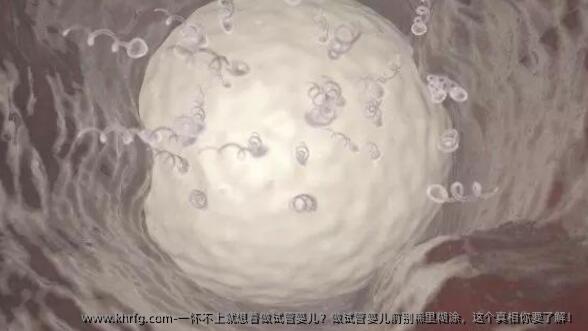 一怀不上就想着做试管婴儿？做试管婴儿前别稀里糊涂，这个真相你要了解！