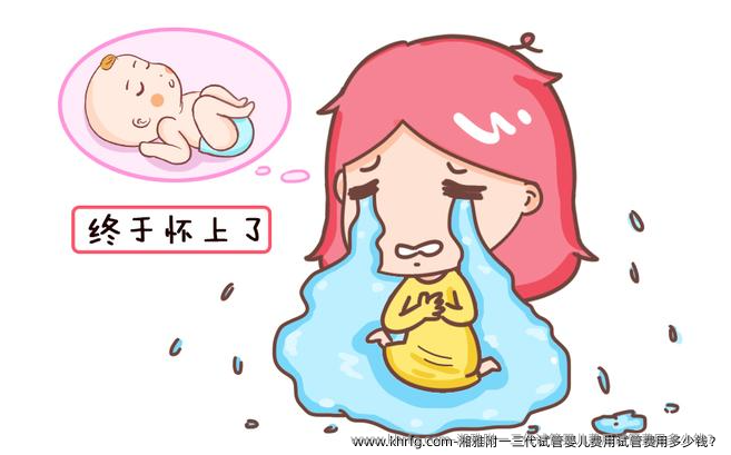 湘雅附一三代试管婴儿费用试管费用多少钱？