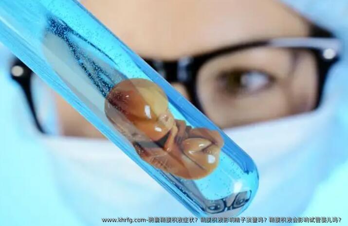 阴囊鞘膜积液症状？鞘膜积液影响精子质量吗？鞘膜积液会影响试管婴儿吗？